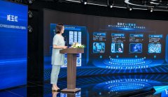 “零星整合”升级为“全链系统集成”的纵深演